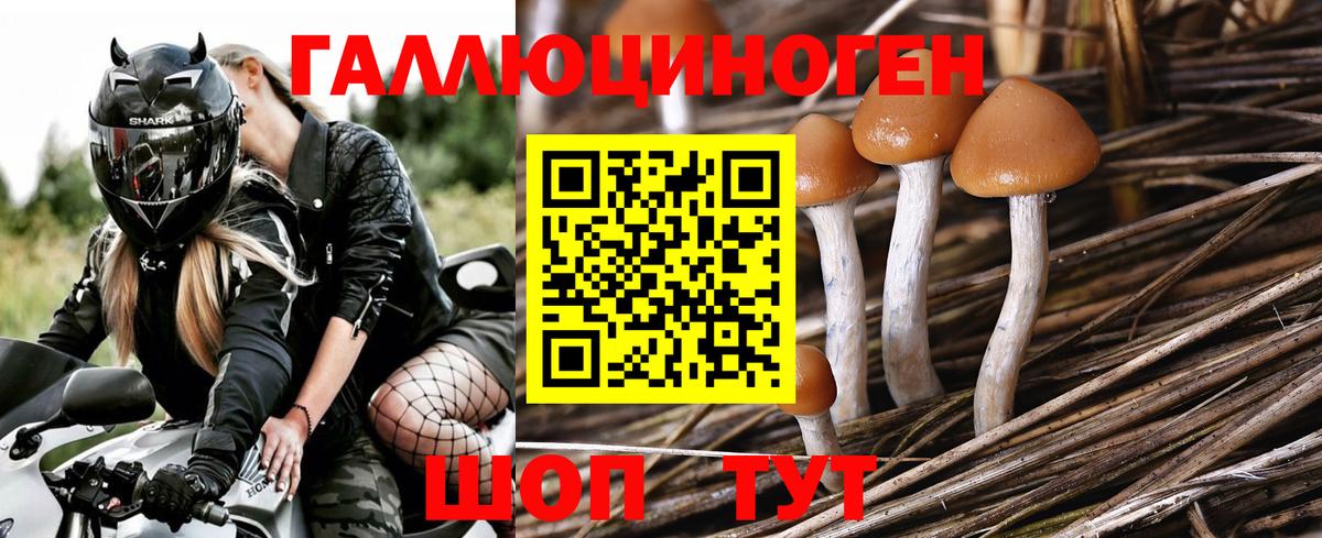 Галлюциногенные грибы Magic Shrooms  Галлюциногенные грибы Cubensis  Вход с VPN  Усть-Джегута 
